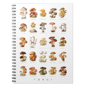 Carnet Illustration Vintage champignons comestibles non c