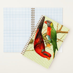Carnet Illustration Vintage colorée de perroquets rouges 