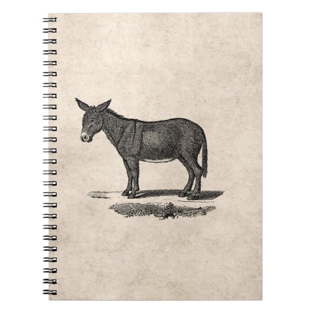 Carnet Illustration vintage d'âne - ânes 1800's (Devant)