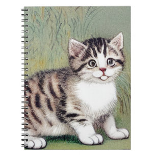 Carnet Illustration vintage de chaton rayé
