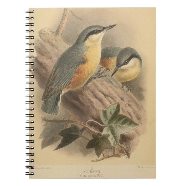 Carnet Illustration vintage de Nuthatch (Devant)