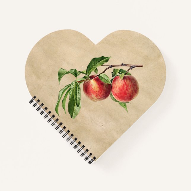 Carnet Illustration vintage Peaches (Devant)