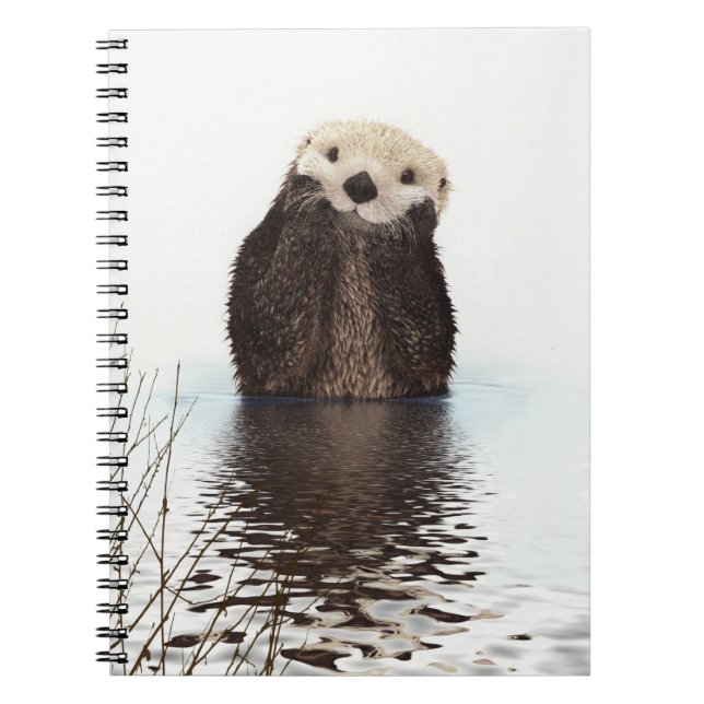 Carnet Image de la faune de Cute Otter (Devant)