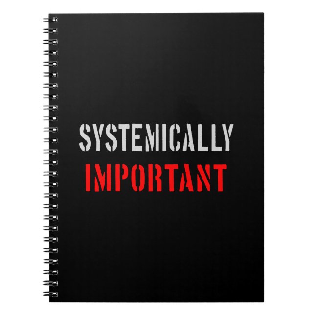 Carnet Importance systémique (Devant)