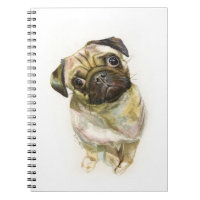 Impression Carlin face| Chien de Carlin mignon