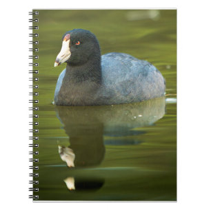 Carnet Impression d'art photo d'oiseau de faune de Foulqu