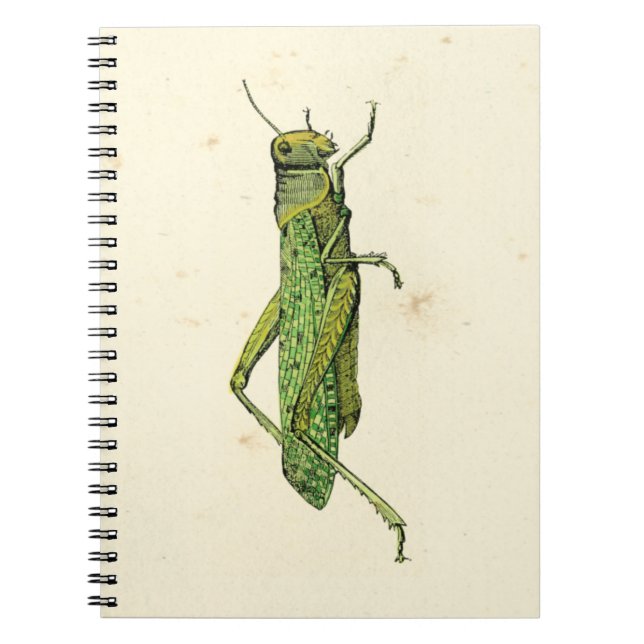 Carnet Impression encadrée de sauterelles vertes (Devant)