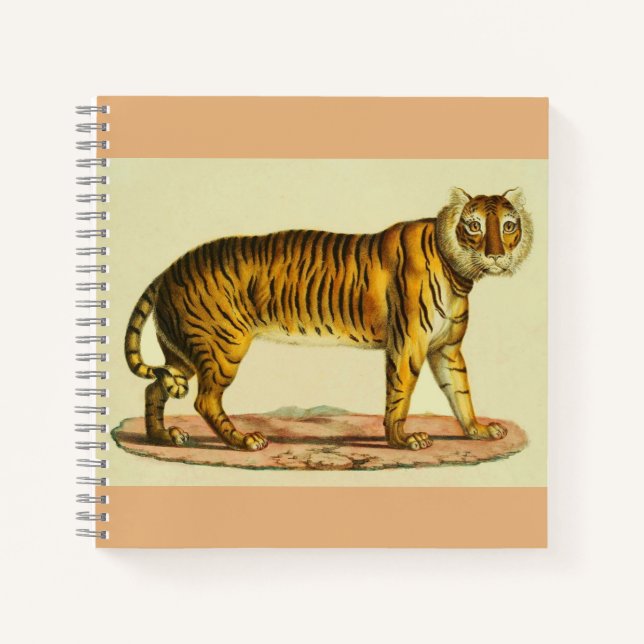 Carnet Impression tigre 1824 (Devant)