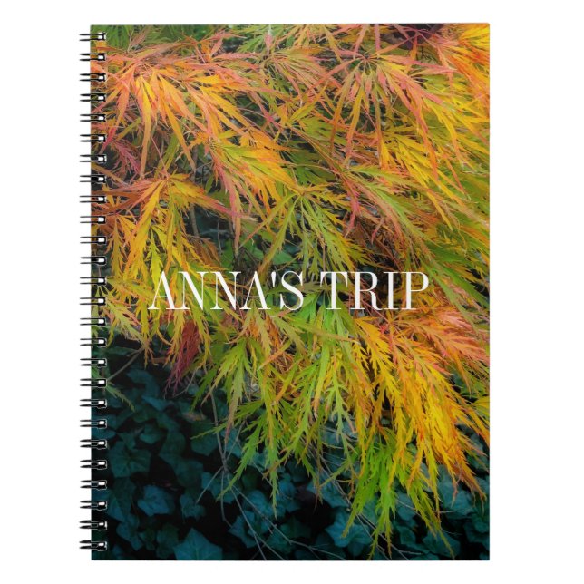 Carnet Impressions d'automne de l'érable japonais (Devant)