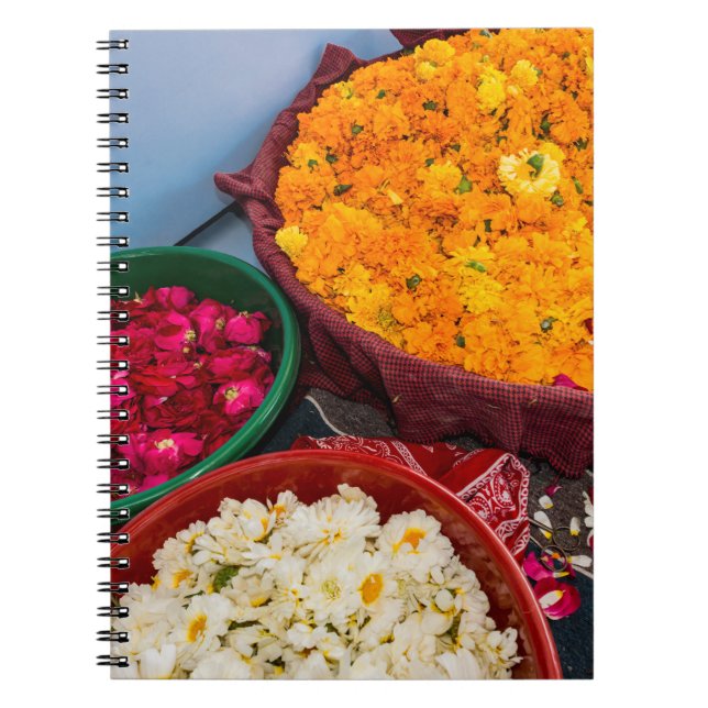 Carnet Inde, Rajasthan, Pipar (Devant)