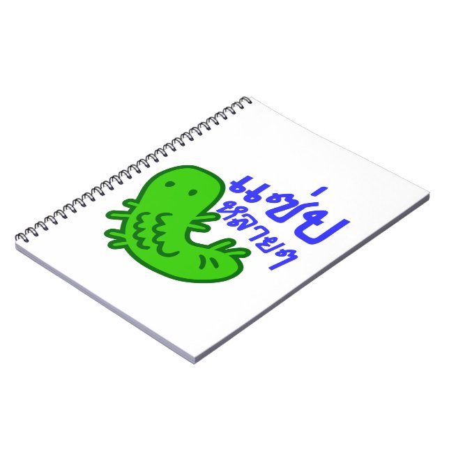 Carnet Insecte comestible > Trop de saveur ♦ Saep Lai Lai (Côté gauche)