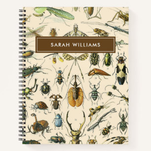 Carnet Insecte vintage