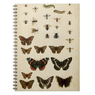 Carnet Insectes de jardin par le studio de vision