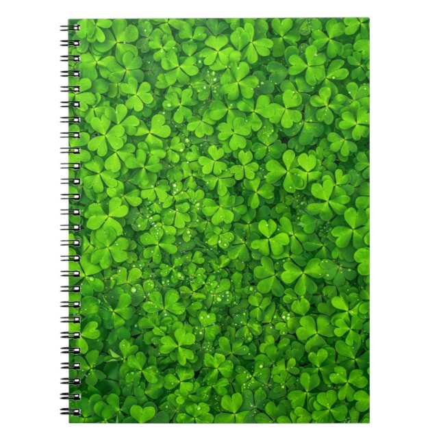 Carnet Ireland (Devant)