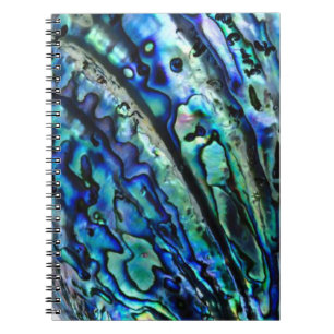 Carnet Iridescente Paua Abalone Shell