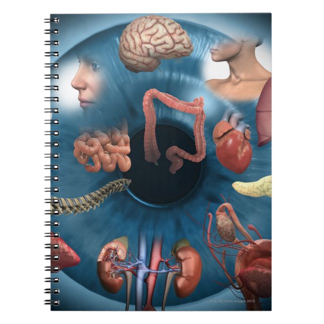 Carnet Iridologie (Devant)