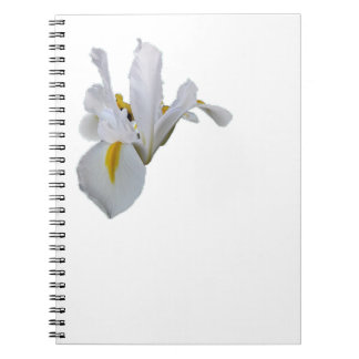 Carnet Iris blanc avec centre jaune