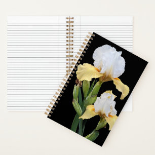Carnet Iris blancs et jaunes sur fond floral noir