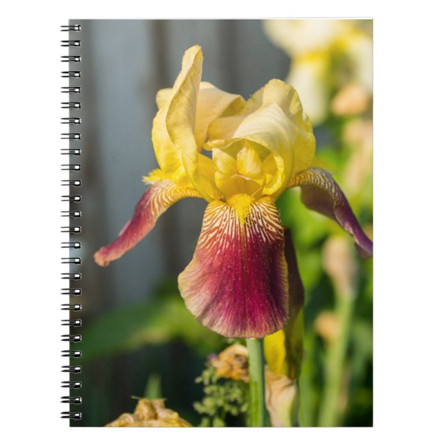 Carnet Iris de famille (Devant)