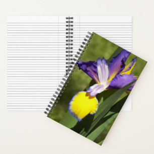 Carnet Iris de Sibérie floral pourpre et jaune