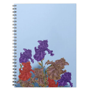 Carnet Iris florissants.