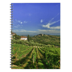 Carnet Italie, Toscane, Greve. Les vignobles de Castello