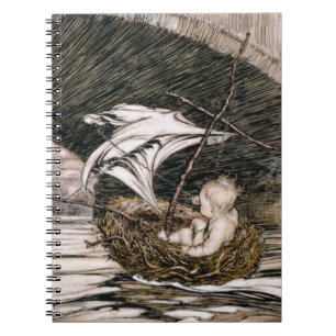 Carnet J.M. Barrie   'qu'il a passé sous le pont et est