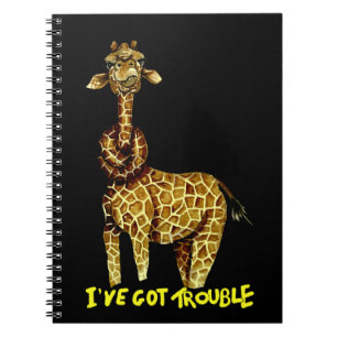 Carnet J'ai des ennuis
