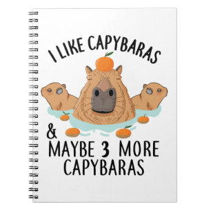 Carnet J'aime Capybaras et peut-être 3 personnes Funny Ba