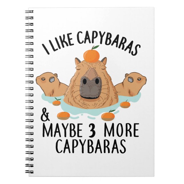 Carnet J'aime Capybaras et peut-être 3 personnes Funny Ba (Devant)