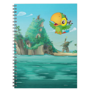 Carnet Jake et les pirates du Neverland Vol Skully