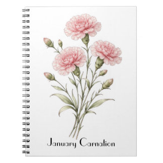 Carnet January Carnation Flowers 