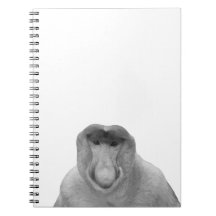 Janusz Meme, Proboscis Monkey, Polak, Pole Janus