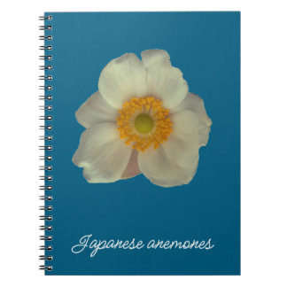 Carnet Japanese anemones flower