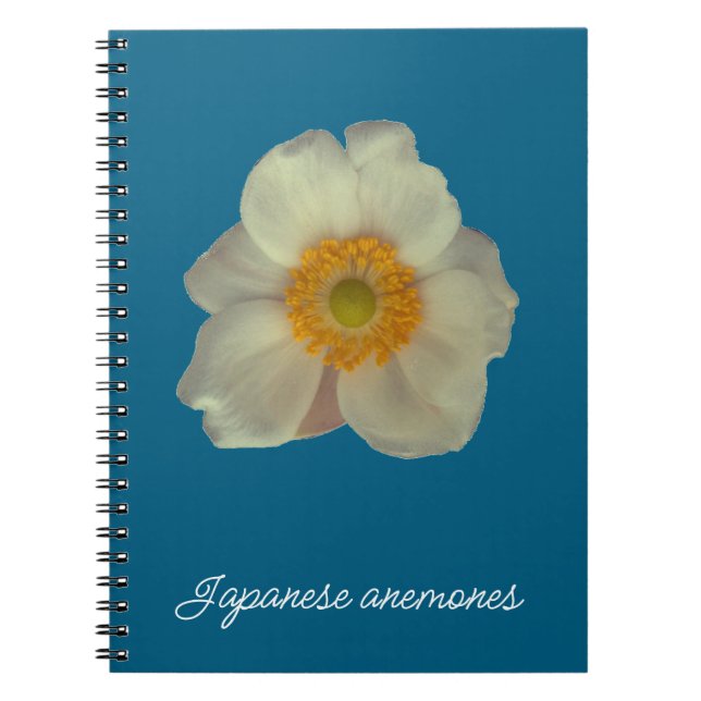 Carnet Japanese anemones flower (Devant)