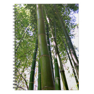 Carnet Japanese Garden Bamboo Forest Note Book