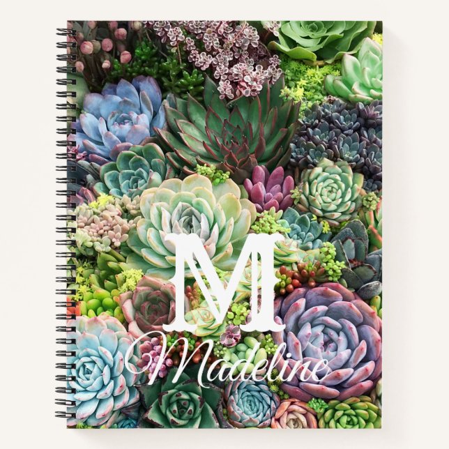 Carnet Jardin coloré Succulent (Devant)