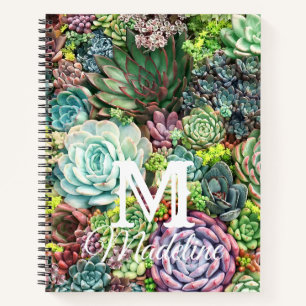 Carnet Jardin coloré Succulent