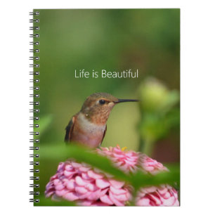 Carnet Jardin de fleurs de Zinnia Colibri (ma photographi