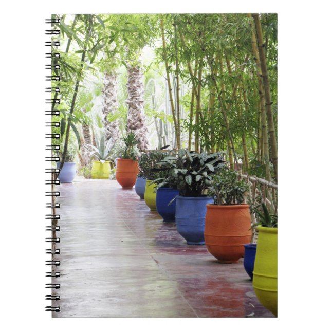 Carnet Jardin de Majorelle, Jardin de Majorelle, désormai (Devant)