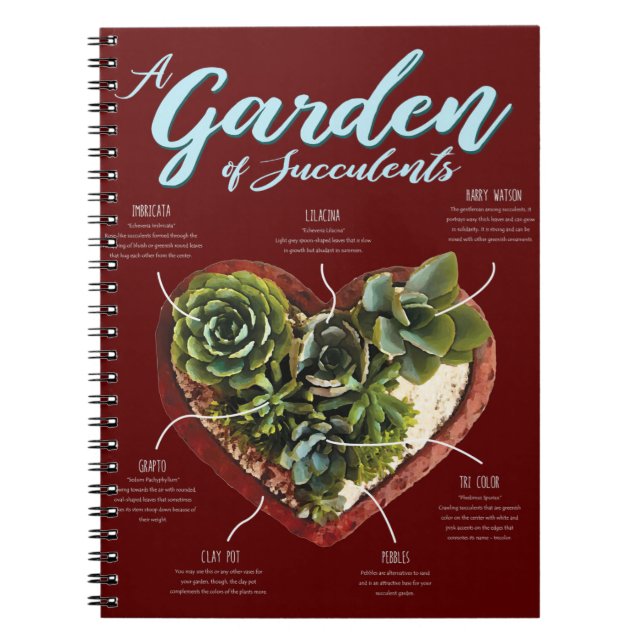 Carnet Jardin De Succulentes (Devant)