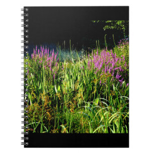 Carnet Jardin des bogues
