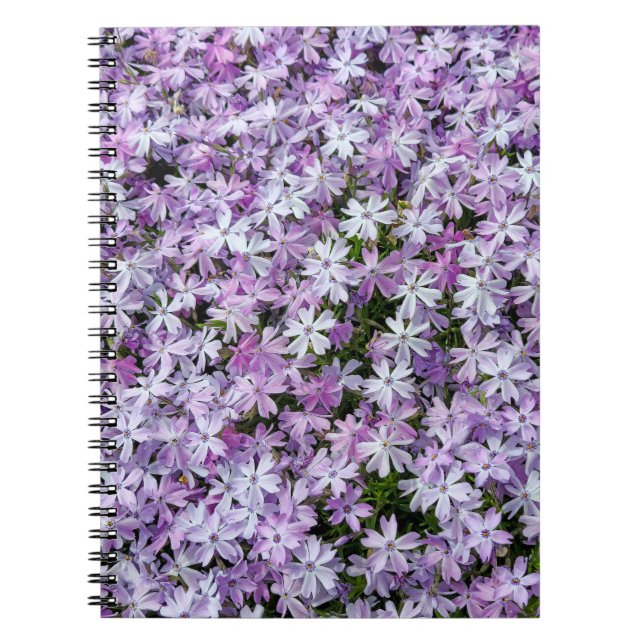 Carnet Jardin Purple Phlox (Devant)