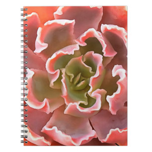 Carnet Jardin superbe Les tons roses Succulents Art réali