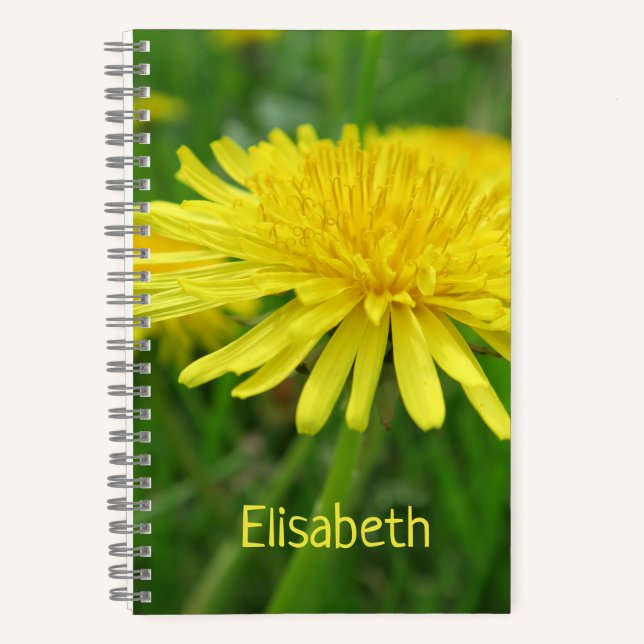 Carnet jaune, betercup, plante, pissenlit, prairie, (Recto)