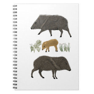 Carnet Javelina Family Portrait Animaux du désert