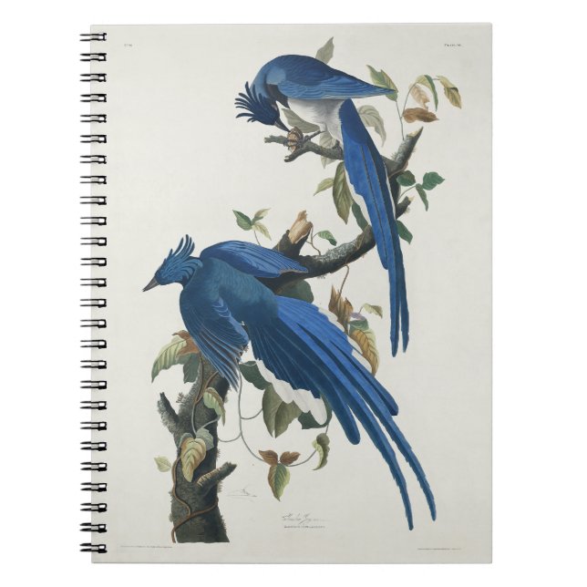 Carnet Jay noir à pâte molle à tarte noire Audubon Columb (Devant)