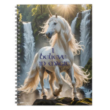 Je crois en la licorne magique