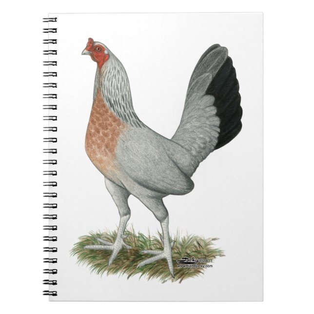 Carnet Jeu de Duckwing Argent Hen (Devant)