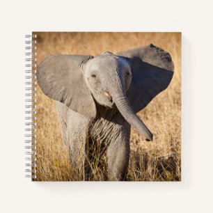 Carnet Jeune éléphant de brousse
